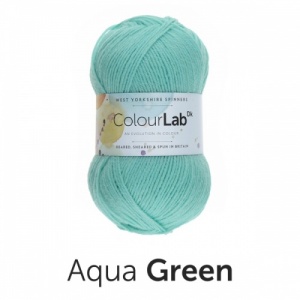 WYS ColourLab DK 100g - Aqua Green